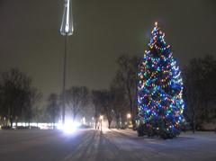 Christmas Tree on the Common Lexington MA