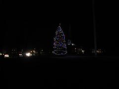 Christmas tree on Lexington Common, Lexington Massachusetts