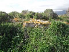 Torre de San García covered with vegetation