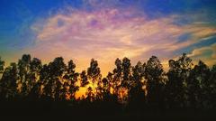 Sunset over nature in Bangladesh