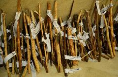 Tree of Dreams exhibit at the Museum of the History of Polish Jews in Warsaw