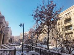 Harbin Ice and Snow Sculpture Festival