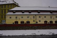 cross-country skier in action during Vltava Tour race