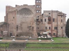 Colle Palatino in Rome, Italy