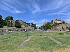 View over the Roman Forum to the Arch of Titus with Temple of Venus and Roma on the right