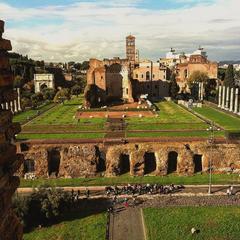 view from the top of the Colosseum onto the Roman Forum