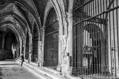 Inside Lisbon's cathedral cloister