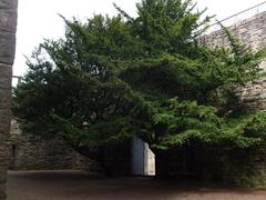 Craigmillar Castle panoramic view