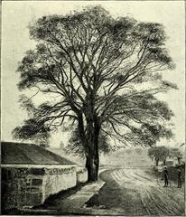 Illustration from the 1892 book 'Craigmillar and its environs' by Thomas Speedy