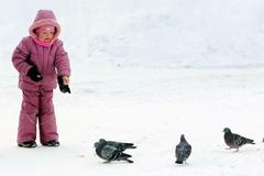 Girl feeding pigeons in Park of the 300th Anniversary of St. Petersburg