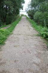 Pathway to Volkhov River