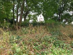 Alter Elbpark in Hamburg 2023 showing greenery and park setup