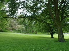 View of the eastern part of Alter Elbpark at the foot of the Bismarck Monument