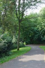 Alter Elbpark in Hamburg with sunlit trees and a statue in the background