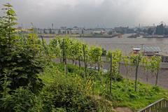 Hamburg Alter Elbpark Weinberg Stintfang