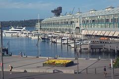 Woolloomooloo Bay in Sydney with waterfront buildings and yachts