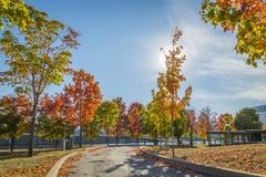 Autumn at the Old Port of Montreal