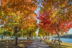 Le Vieux-Port de Montréal in autumn