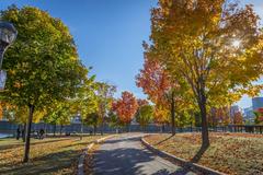 Autumn at the Old Port of Montreal