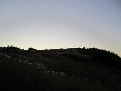 Malminkartanonhuippu hill during summer evening, August 2015