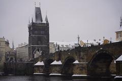 Cross-country skiers in a snowy forest during Vltava Tour 2019