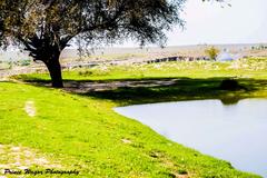 Ghari Kandi natural landscape view under a cloudy sky