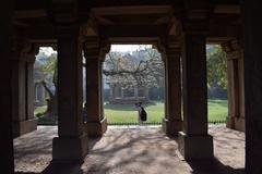 Historic tomb with pillars in Haus Khas village