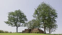 Hauz Khas Fort with lush greenery