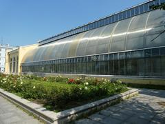 Palm greenhouse in Tavrichesky Garden, Saint Petersburg