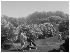 A stroll on a warm, spring day in Ottawa