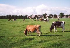 Central Experimental Farm in Ottawa