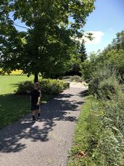 Central Experimental Farm Shelterbelt along Merivale Road in Ottawa