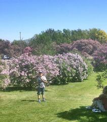 A picturesque spring scene at Central Experimental Farm in Ottawa