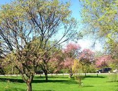 Central Experimental Farm in spring