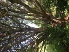 Arboretum at the Central Experimental Farm in Ottawa