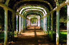 overgrown arches in Rio de Janeiro Botanical Garden