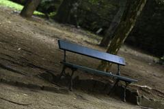 Bench at Jardim Botânico in Rio de Janeiro