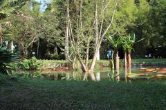 Alagados do Jardim, panoramic view