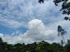 Beautiful cloudy sky