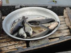 Fish from Arial Bil, Munshigonj