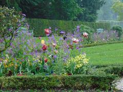 Benrather Blüten im Mai