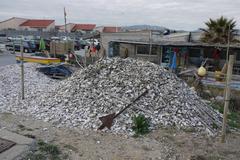 pile of oyster shells at Grau de Leucate