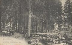 Pont des Singes in Gérardmer, vintage postcard