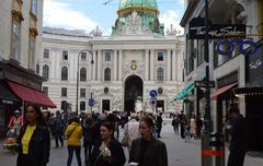 Vienna cityscape with Danube River