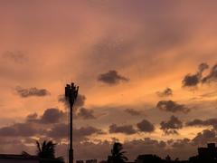 Cloudy sunset in Surat with coconut tree and network tower