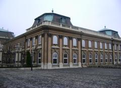 Buda Castle panoramic view