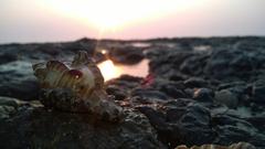 A panoramic view of the coastline in Daman, India