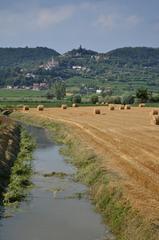 scenic countryside view in Brendola, Italy featuring green fields and distant hills under a blue sky