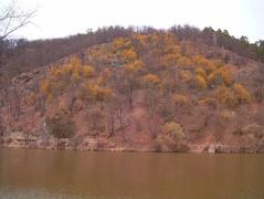 Svratka River flowing into Brno Reservoir