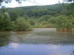 Brno Reservoir with a view of the Svratka River